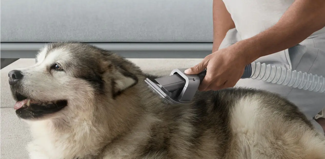 Accesorios de las aspiradoras sin cable de Dyson: Kit de limpieza de mascotas